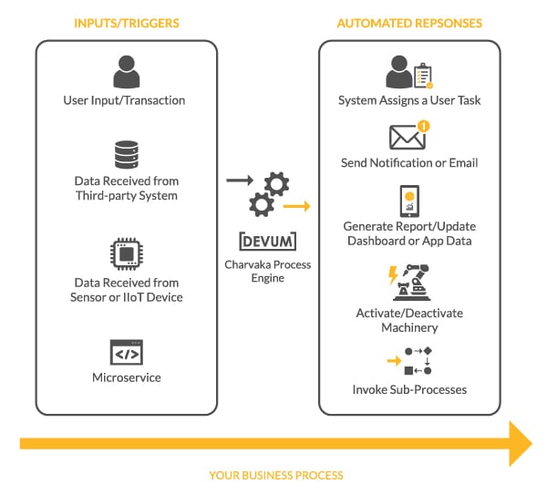 Build App or Automate Processes